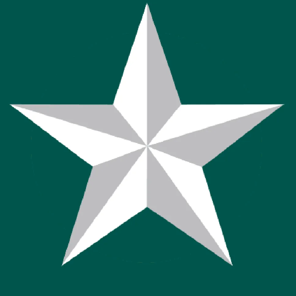 TSAOG Orthopaedics & Spine logo