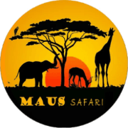 Maus Safari's logos