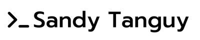 SandyTanguy.com's icon