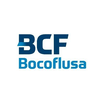 Bocoflusa's icon