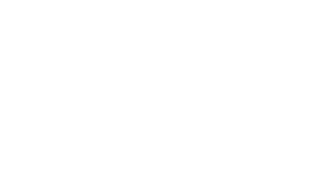 Blue Power Partners's logos