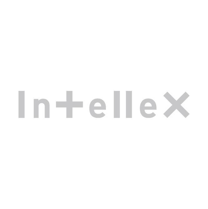 インテリックス's icon