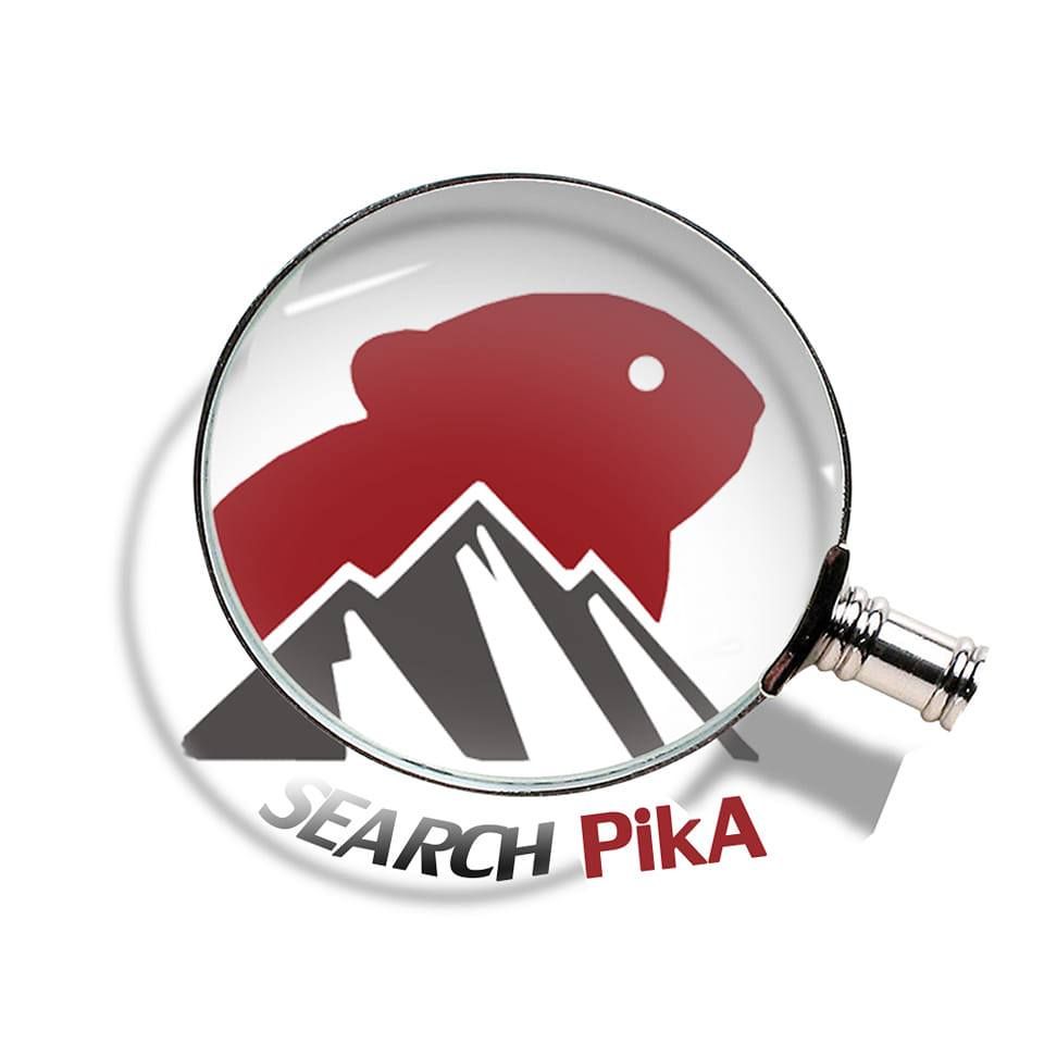 Search Pika's icon