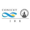 IBR's icon