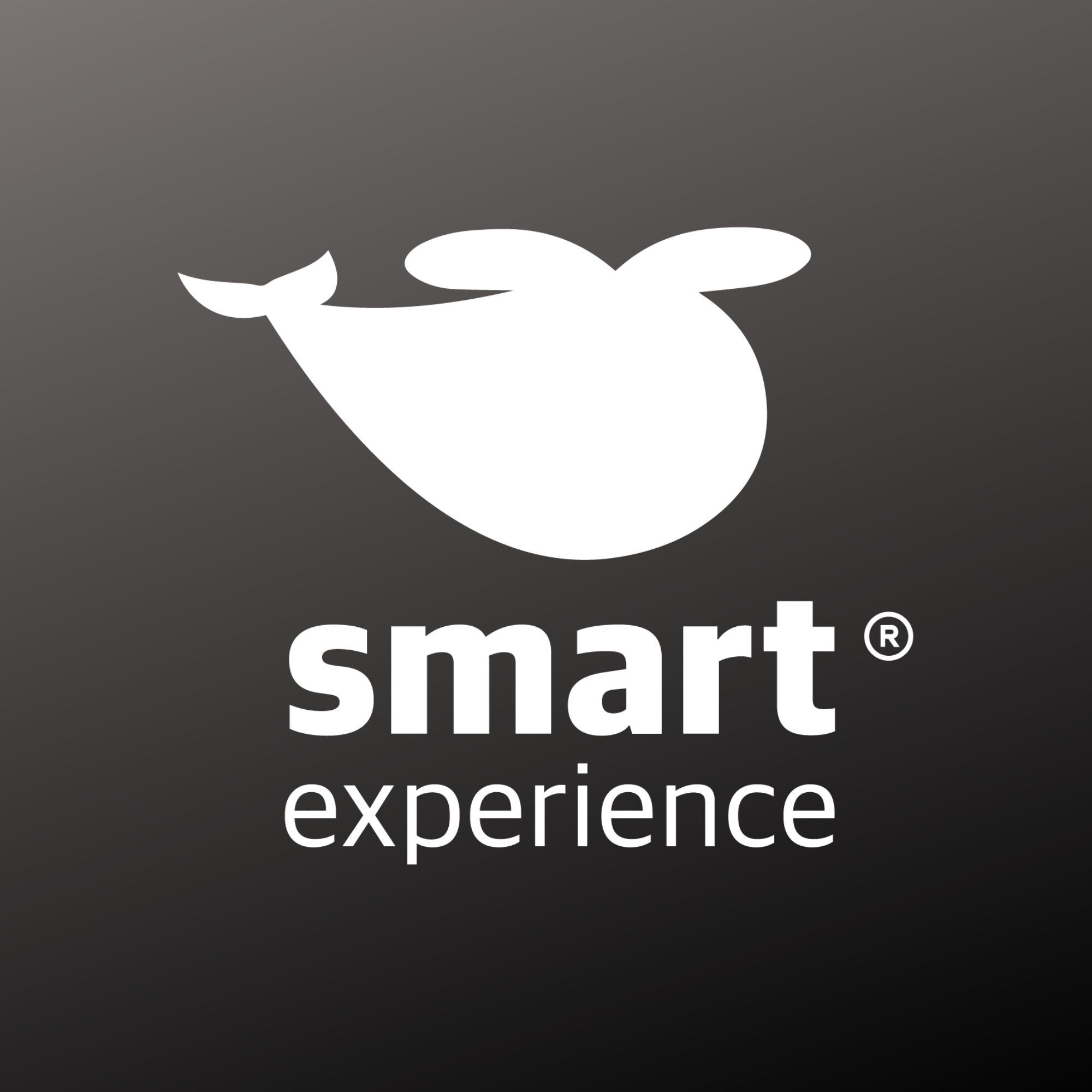 SmartExperiencero's icon