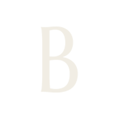 BASSI's logos