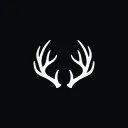 bigbuckgunshop.com's icon
