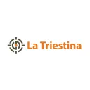 Triestina's icon