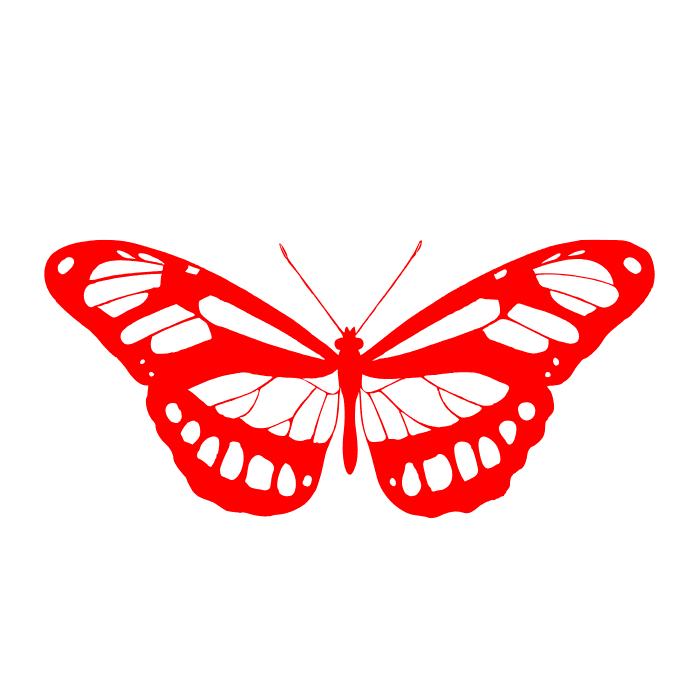 Butterfly Media's icon