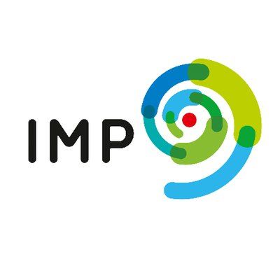IMP Logo & Brand Assets (SVG, PNG and vector) - Brandfetch