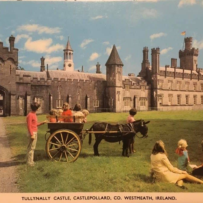 Tullynally Castle's icon