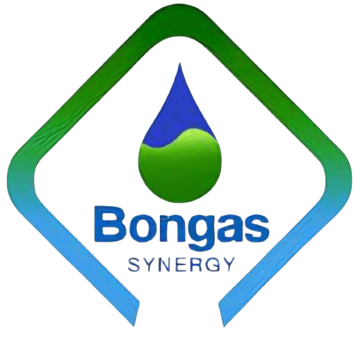 Bongas Synergy's logos
