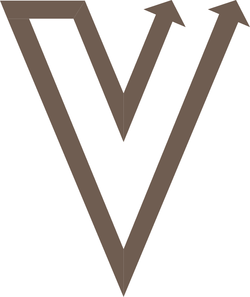 VaVia Dumpster Rental logo