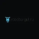 scootergid.ru's icon