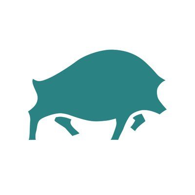 Wildboar Studio's icon