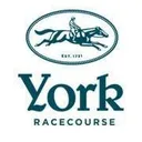 York Racecourse's icon