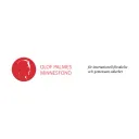 palmefonden.se's icon