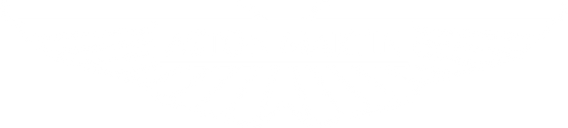 Aston Martin auto glass