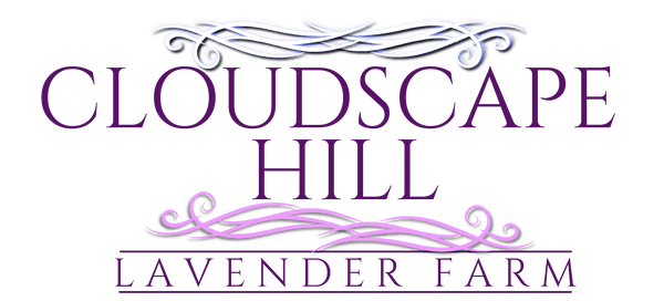 Cloudscape Hill's logos