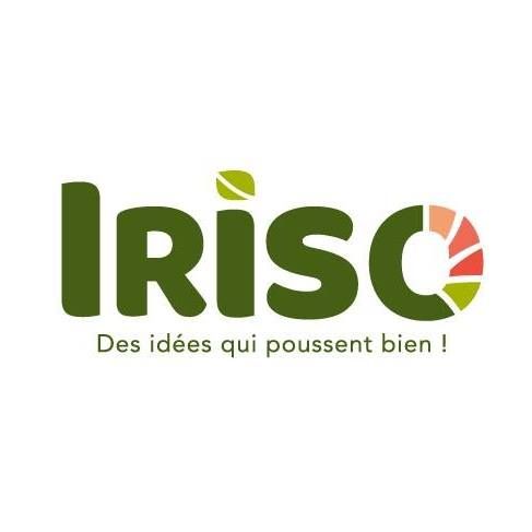 IRISO's icon