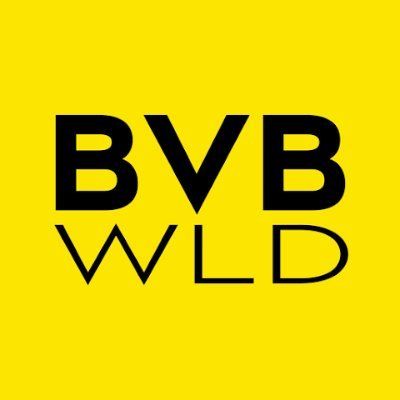 BVBWLD.de's icon