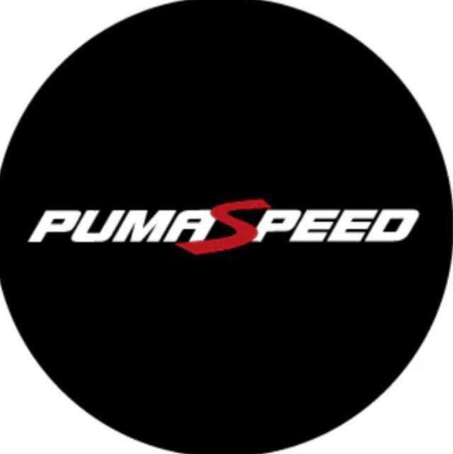 Pumaspeed's icon