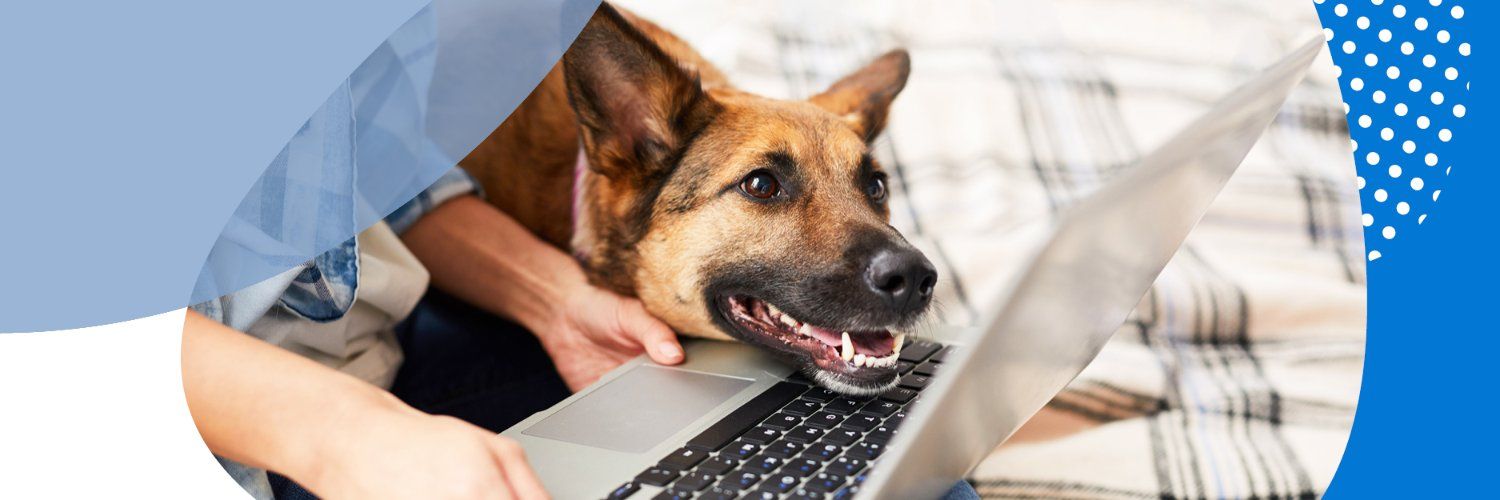 PetSure Australia's images