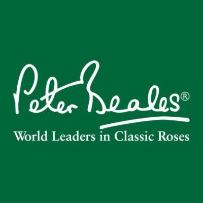 Peter Beales Roses's icon
