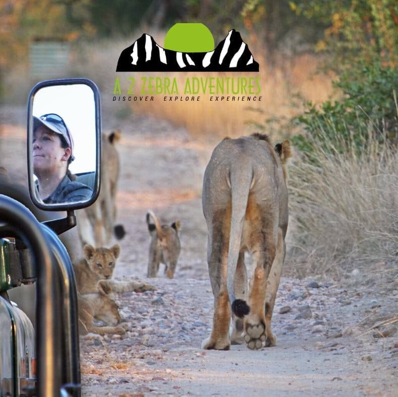 A 2 Zebra Adventures's icon