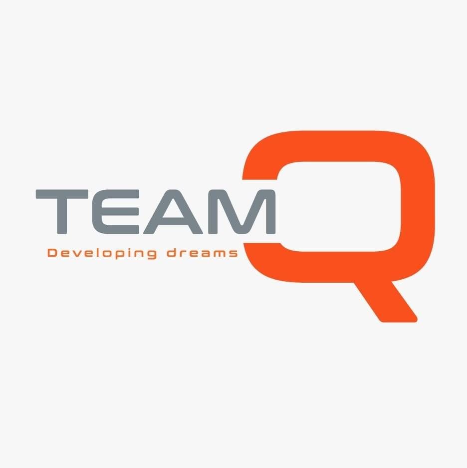 TeamQ's icon