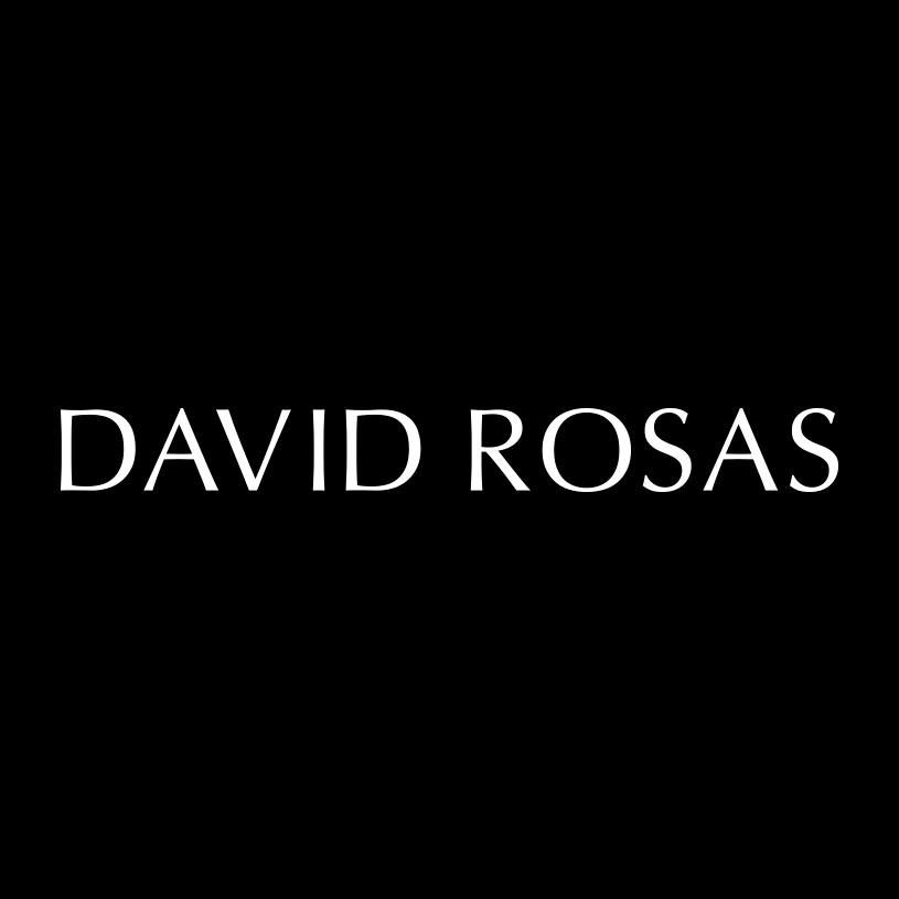 David Rosas's icon