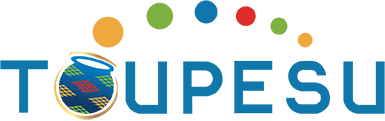 Toupesu's logos
