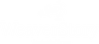 WeaverStory's logos