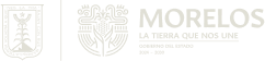 Morelos's logos