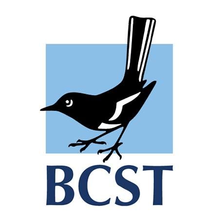 BCST's brand icon