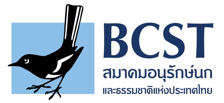 BCST's logos