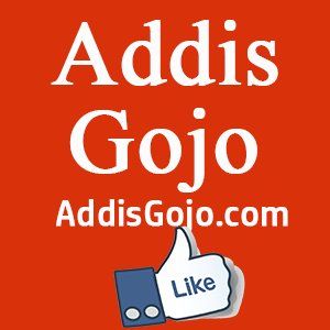 AddisGojo's icon