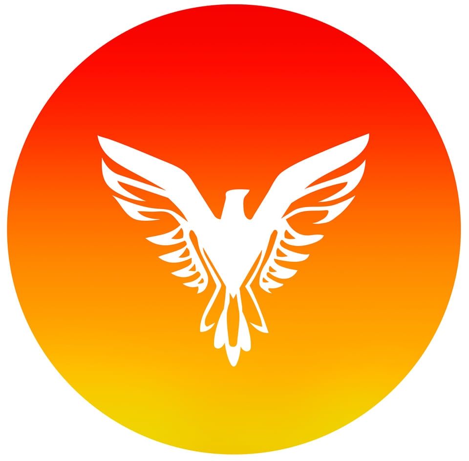 VILLAMEDIC GROUP's icon