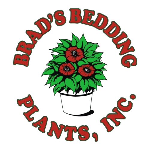 Brad's Bedding's logos