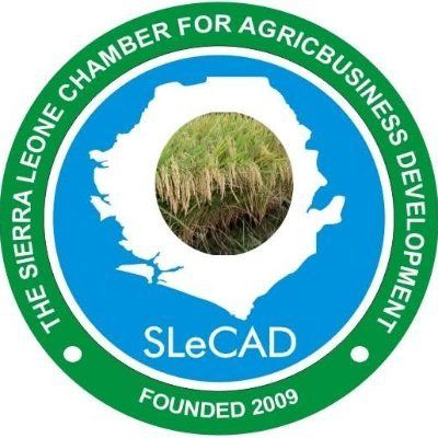 @SLeCAD's icon