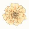 Florilegium Paris's brand icon