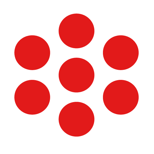 Canterbury Museum's icon