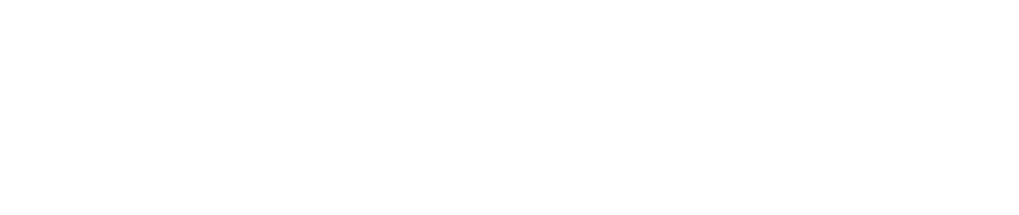 SkyFlok's logos