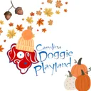 to Carolina Doggie Playland's icon