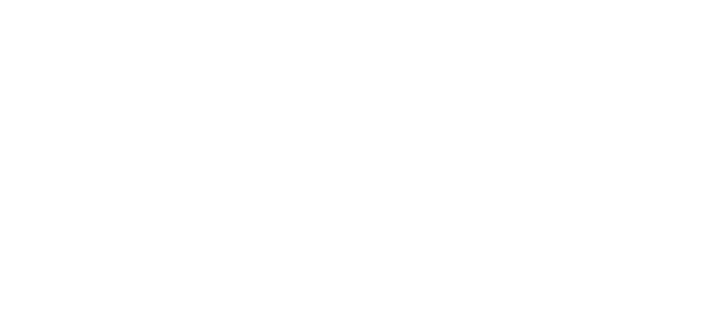 WIN Home Inspection logo