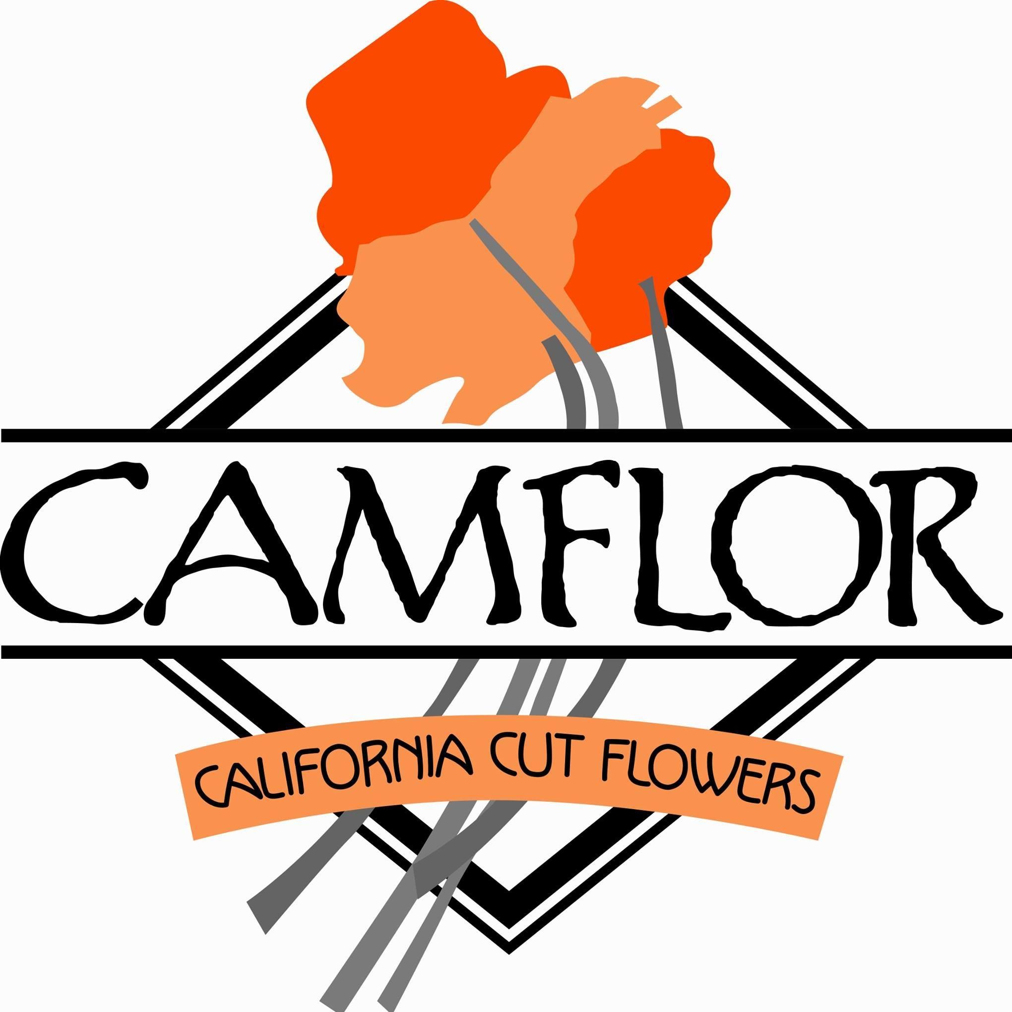 CamFlor's icon