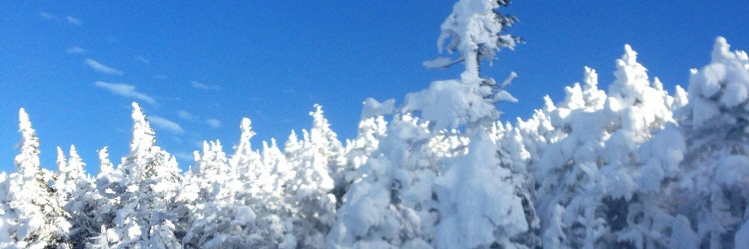 Cannon Mountain Logo & Brand Assets (SVG, PNG and vector) Brandfetch