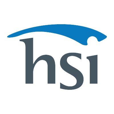 HSI's icon