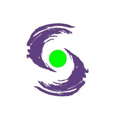 se-sports.or.jp's icon