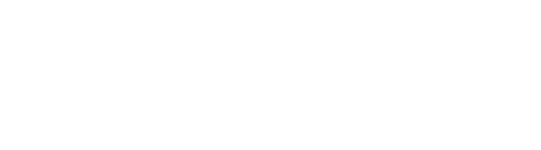 Webifly logo